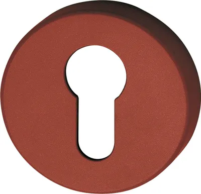 A close-up of a keyhole escutcheon plate.