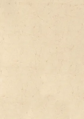 Produktbild von HEYDA 204831500 Elefantenhaut 50 x 70 cm weiss 10 Stück