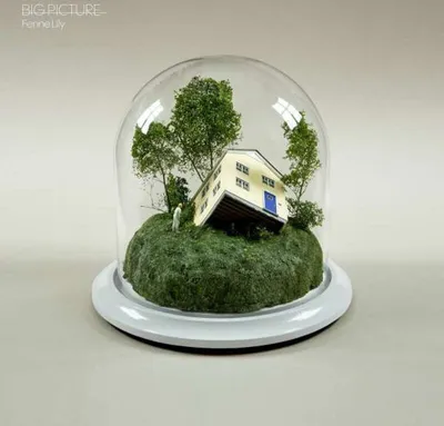 Immagine prodotto di Fenne Lily: Big Picture - - (LP / B)