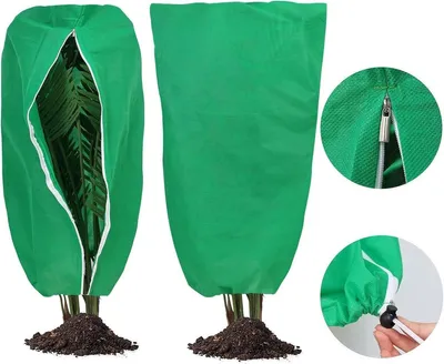Winterschutz für Planzen, Hauptbild