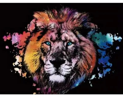 Produktbild von Rubbelbild – LÖWE 30 x 42 cm