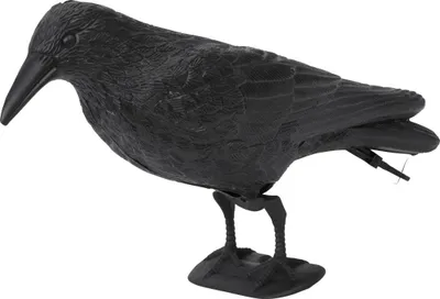 A black plastic crow figurine on a white background.