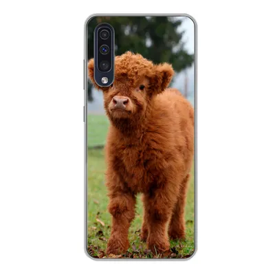 Produktbild von MuchoWow® Handyhülle Schutzhülle Hülle für Samsung Galaxy A50 Scottish Highlander - Kalb - Gras Silikon Softcase Handy Hülle - Mobiltelefonhülle