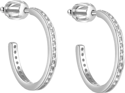Image de Boucles d'oreilles argentées AGUP1454S