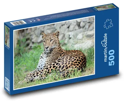 Produktbild von martinpuzzle - Puzzle 500 Teile - Leopard - Tier, Katze