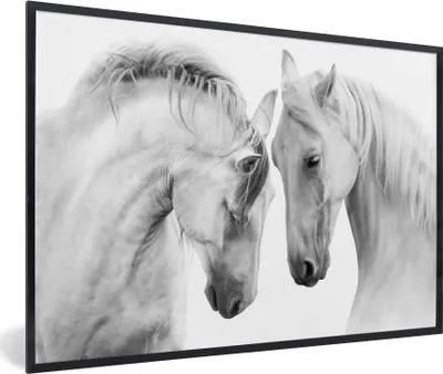 Produktbild von MuchoWow® Gerahmtes Poster Pferd - Tiere - Porträt - Weiß 30x20 cm - Poster mit Schwarzem Bilderrahmen Wandposter Rahmen Foto Bilder - Kunstdruck - Bild-Poster