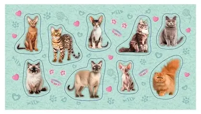Produktbild von Aufkleber Katze 2.0