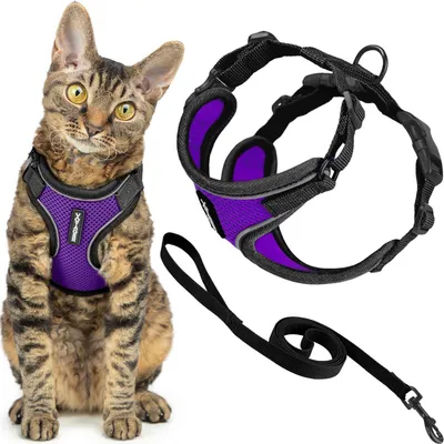 Image de Harnais et laisse pour chat antiefraction, ensemble avec coutures réfléchissantes