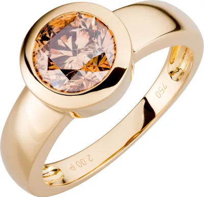 Produktbild von Orolino Ring 750/- Gold gelb 060 (19,1) Brillant champagner 067370139-1