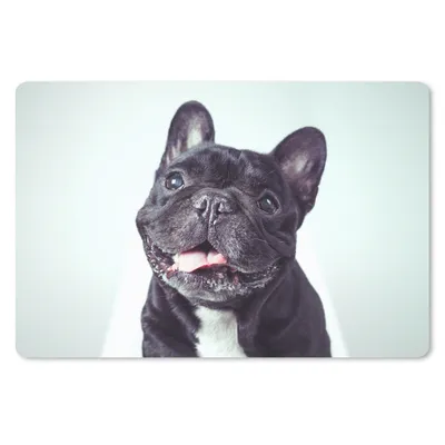 Produktbild von MuchoWow® Schreibtischunterlage Französische Bulldogge - Schwarz - Stuhl 60x40 cm - XXL Mauspad - Großes Mauspad