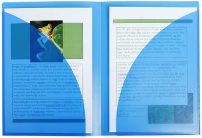 Produktbild von Exacompta 3962E Präsentationsmappe DIN A4 Blau PP 400µ mit doppelter Innentasche