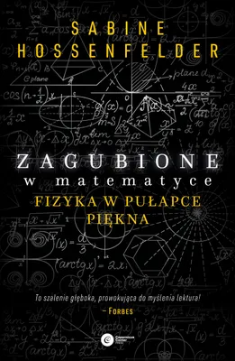 Image de Zagubione w matematyce. Fizyka w pułapce piękna