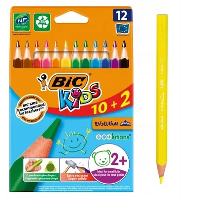Image de Crayons BIC Evolution Triangle 12 couleurs