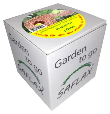 Artikelbild 1 von 'Garden to Go Gespensterpflanze' aus der Kategorie Anzuchtsets
