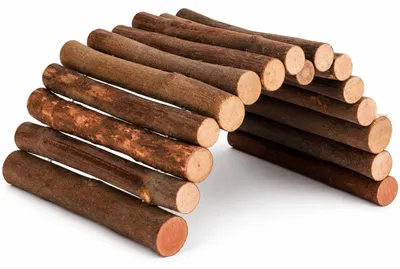 Immagine prodotto di Giocattolo naturale in legno per criceti, conigli nani, cincillà