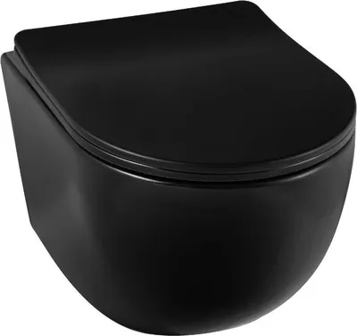 Obrázek produktu pro Balneo závěsné WC LUNA bez ráfku 48,5 × 36,5 × 36,5 cm WC sedátko s mechanismem tichého zavírání černé barvy