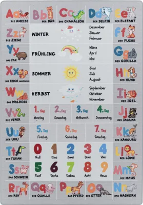Produktbild von Kinderteppich Alphabet-Buchstaben-Zahlen-Tiere Grau 80 x 120 cm Rechteckig