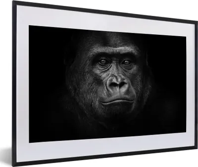 Produktbild von MuchoWow® Gerahmtes Poster Gorilla - Schwarz - Weiß - Tiere - Porträt 60x40 cm - Poster mit Schwarzem Bilderrahmen Wandposter Rahmen Foto Bilder - Schlafzimmer - Plakat in Rahmen - Drucken
