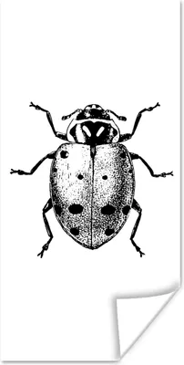 Produktbild von MuchoWow® Poster Vintage - Marienkäfer - Insekten - Schwarz und weiß 75x150 cm - Dekoration für die Wände
