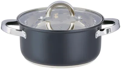 Image de Casserole Alpina pour induction, 21 cm, 3,6 L - Casserole noire avec couvercle