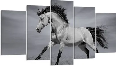 Produktbild von Bild auf Leinwand - Leinwandbild - Pferd Tier Natur - 160x85cm - Wand Bild - Wanddeko - Wandbilder - Leinwanddruck - Bilder - Kunstdruck - Wanddekoration - Leinwand bilder - Wandkunst - EA160x85-3608