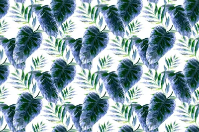 Zdjęcie produktu dla Fototapeta abstrakcyjne tropikalne liście egzotyczna zielona natura palma bananowiec efekt 3D 405x270cm