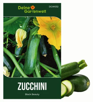 Produktbild von Zucchini Black Beauty Samen - Cucurbita pepo - Zucchinisamen - Gemüsesamen - Saatgut für 8 Pflanzen