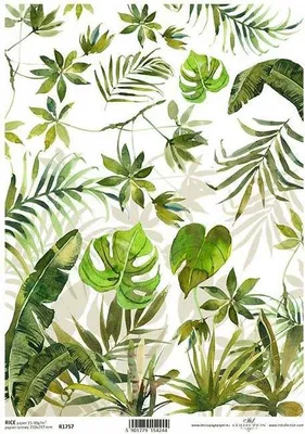 Immagine prodotto di ITD carta di riso decoupage tecnica artigianale tovagliolo di carta-R1757 foglie di monstera, palma