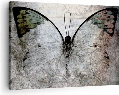 Produktbild von Bild auf Leinwand - Leinwandbild - Schmetterling Abstraktion - 70x50cm - Wand Bild - Wanddeko - Leinwanddruck - Bilder - Kunstdruck - Wanddekoration - Leinwand bilder - Wandkunst - AA70x50-3679