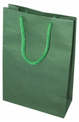 Produktbild von Allbag Papiertüte 100 Stück Grün 17x7x25 cm