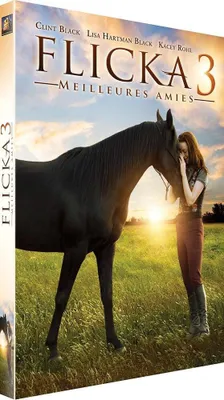 Produktbild von Flicka 3 - Beste Freunde [DVD]