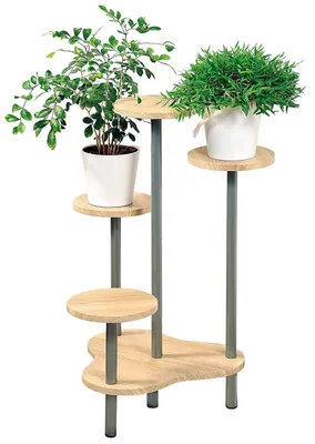 Produktbild von Kesper 17277, Stufiger Pflanzenständer, Grau, Holz, Drinnen, 5 Regale, 645 mm, 460 mm