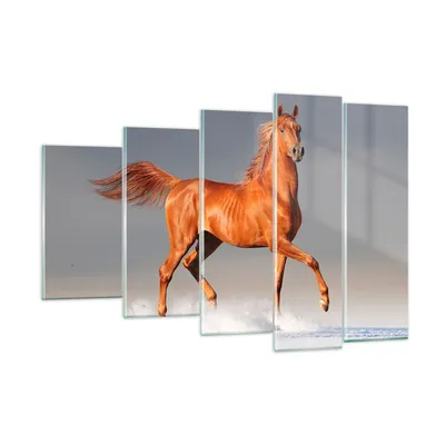 Produktbild von Bilder auf glas - Tiere Pferd Galopp Geschwindigkeit - 150x100cm - Glasbilder - Wandbilder - Kunstdruck - Wanddekoration aus Glas - Glas Bilder - Wandbild auf Glas - GEG150x100-2590