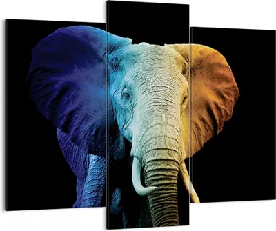 Produktbild von Bild auf Leinwand - Leinwandbild - 3 Teile - Bunt Elefant Fotografie - 130x100cm - Wand Bild - Wanddeko - Wandbilder - Leinwanddruck - Bilder - Wanddekoration - Leinwand bilder - CB130x100-4768
