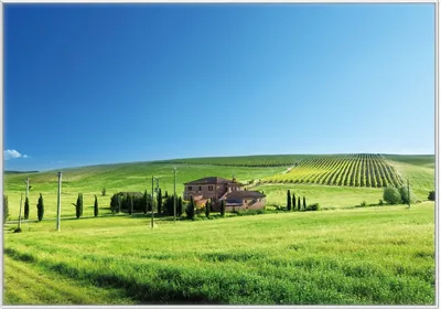 Produktbild von Wallario Wandbild Farm in der Toskana, Größe: 70,30 x 100,30 cm, Poster mit weißem Kunststoffrahmen