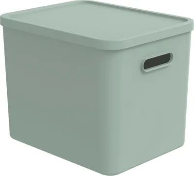 Immagine prodotto di Rotho Babydesign Contenitore L Kayo 27 l