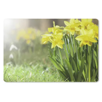 Produktbild von MuchoWow® Mauspad Mousepad Narzisse - Gelb - Frühling 27x18 cm - Mousepads - Maus Mat - Pad - Mausunterlage - Büroartikel - Desk Matten