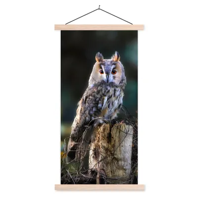 Produktbild von MuchoWow® Textilposter Eule - Herbst - Vogel - Äste 60x120 cm mit holzfarbenen Rahmen - Holz