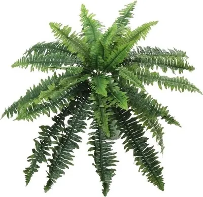 Produktbild von Kunstliche Pflanze Farn - grun - kunstliche Zimmerpflanze - 28 cm