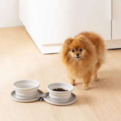 Produktbild von Navaris 2x Reise Hundenapf Katzennapf faltbar - Futternapf Set für Hunde und Katzen - 2x Futterschüssel Fressnapf - 2 Stück Silikon Napf mit Tasche