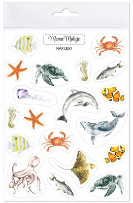 Produktbild von Naklejki Zwierzęta mórz i oceanów realistyczne ilustracje