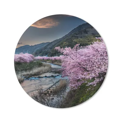 Produktbild von MuchoWow® Mauspad Mousepad Kirschbaum - Mons - Frühling 20x20 cm - Mousepads - Maus Mat - Pad - Mausunterlage - Schreibtischmatte