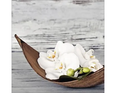 Produktbild von Glasbild White Orchid I 50x50 cm