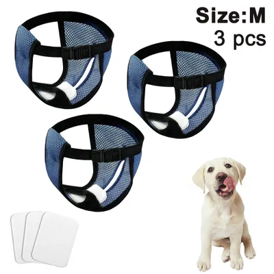 Three dog diapers and a puppy.