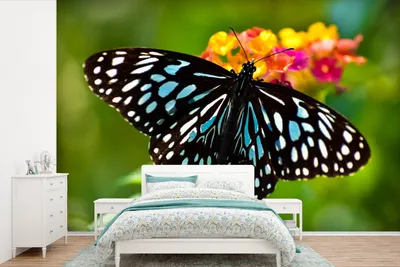 Produktbild von MuchoWow® Fototapete für Wohnzimmer oder Schlafzimmer Wandtapete Vinyl Motivtapete Blauer Tigerfalter - 390x260 cm - Papiertapete