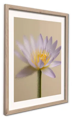 Immagine prodotto di STYLER, quadro decorativo a parete, 30x40 cm, fiore di loto, stile moderno, immagine floreale, fiore di loto, decorazione naturale, ideale per soggiorno o camera da letto, con cornice