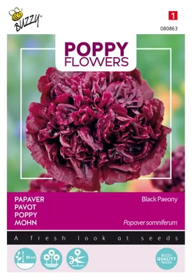 Produktbild von Buzzy Poppy Flowers Mohn Black Paeony Samen - Ca. 0,08 gr | Buzzy_080863