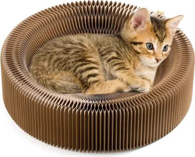 Produktbild von Kratzbett für Katzen, 50 cm, faltbar und tragbar, aus hochdichtem Karton für Ihr Sofa, perfekt für den Komfort, das Wohlbefinden und die Krallen Ihrer Katze