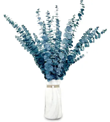 20 getrocknete Eukalyptusstiele, 45 cm, natürlich blaugrün
