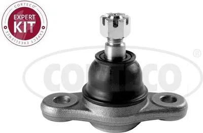 Produktbild von CORTECO Traggelenk Vorne Unten für HYUNDAI TUCSON (JM) 49398788